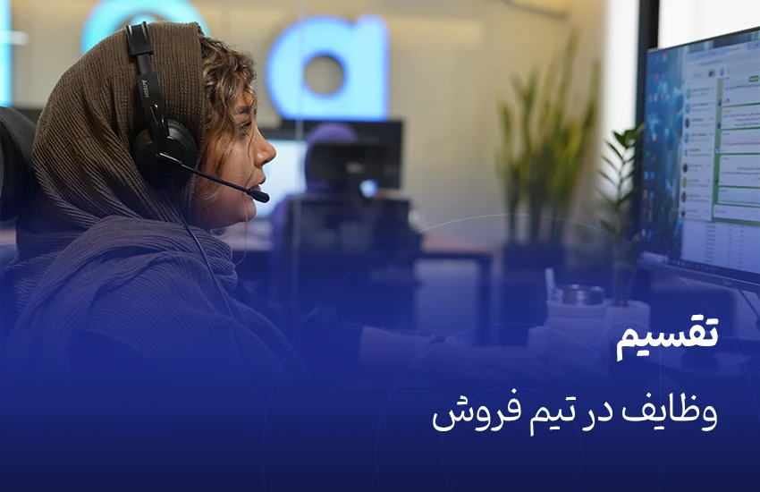 تقسیم وظایف در تیم فروش